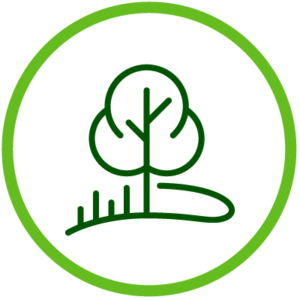 Diseño-Personalizado-icono